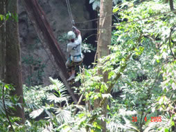 BZE1505