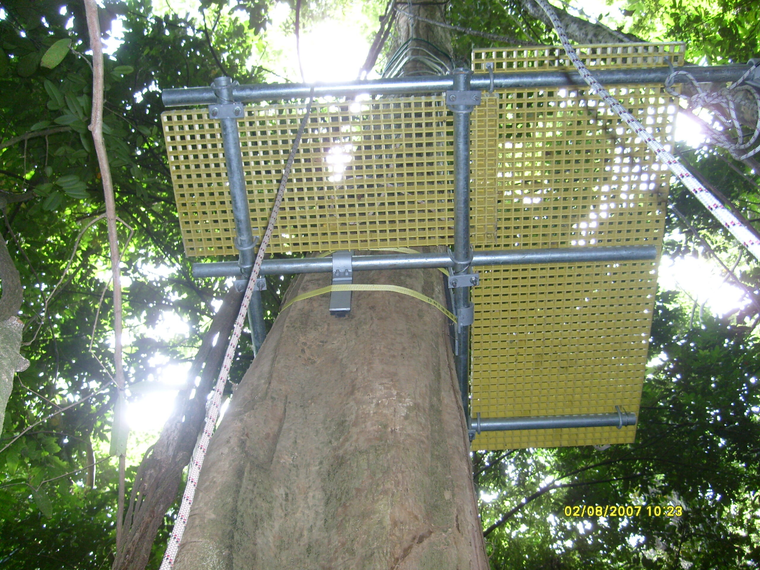 Tree-Friendly Platform