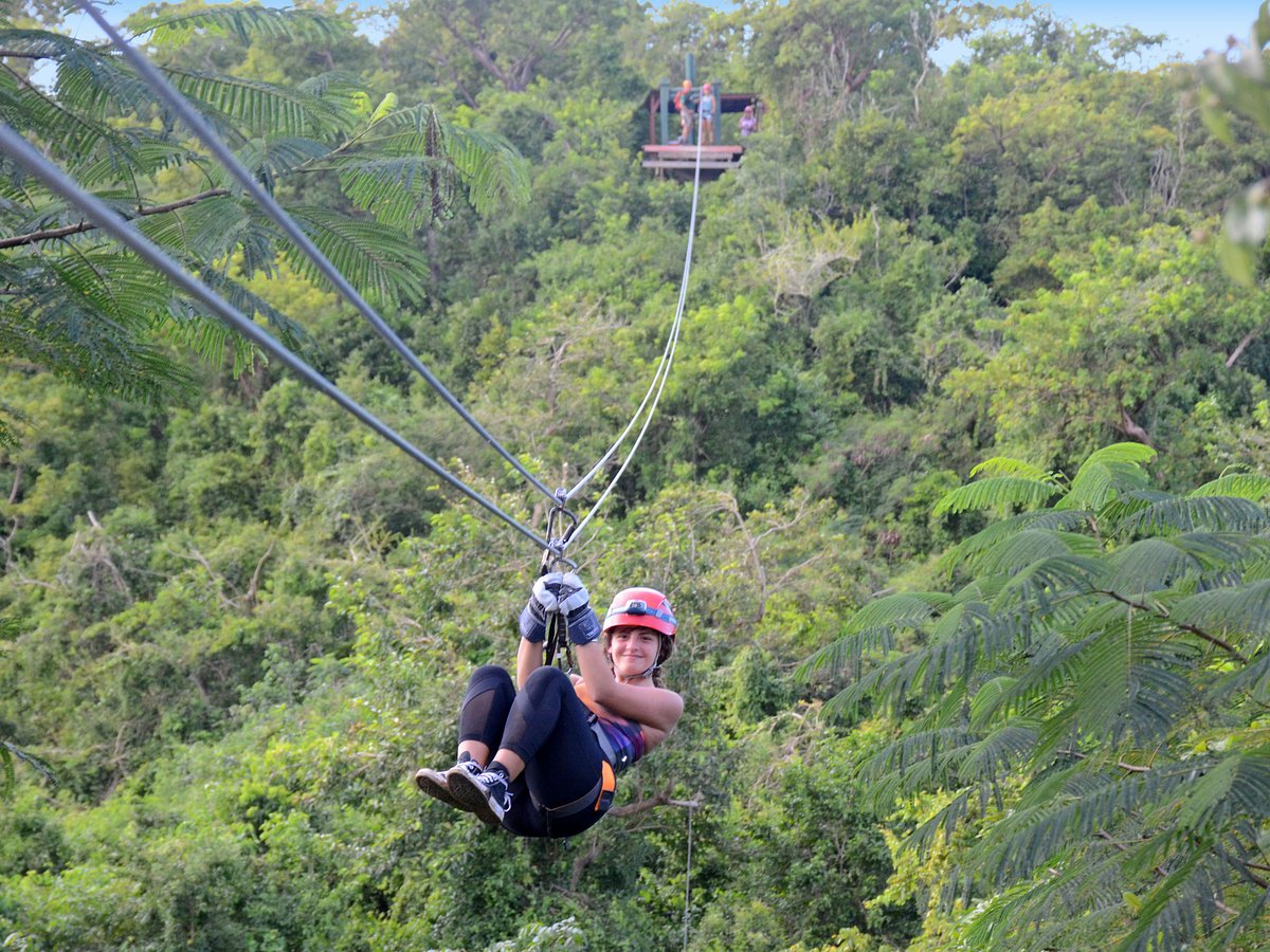 Carolina Ecoquest