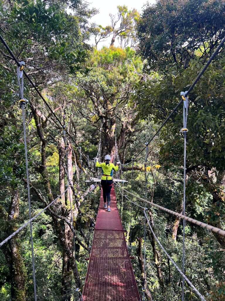 Girl walking through the hanging bridge in Costa Rica.