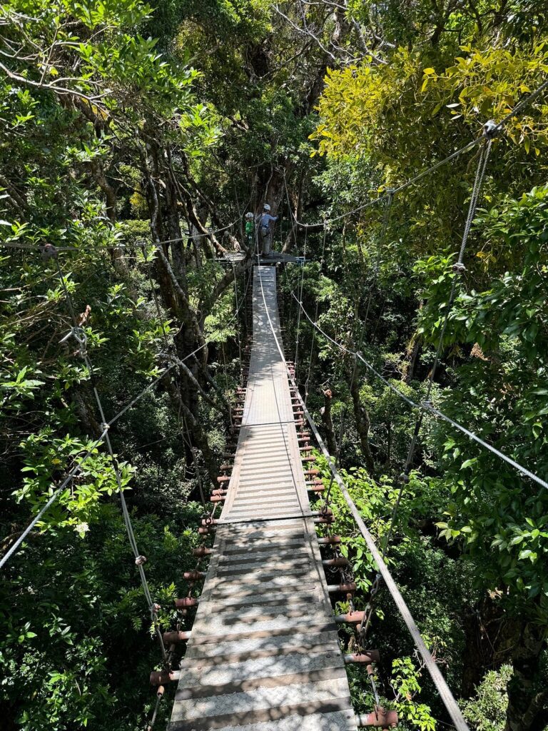 Hanging bridge in Monteverde, Costa Rica.