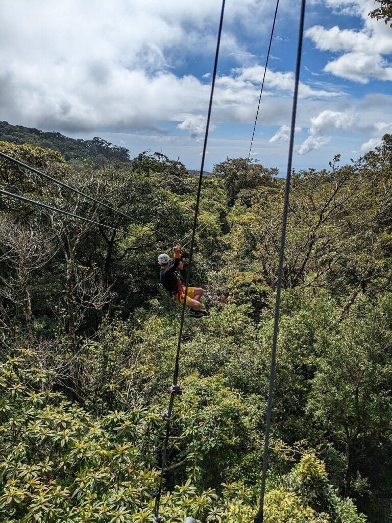 Person ziplining over a green forest.