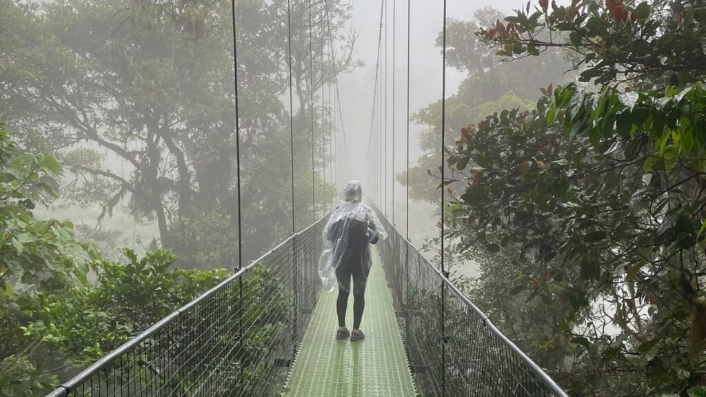 Traveler walking across a suspended bridge in the misty Monteverde cloud forest in Costa Rica.
