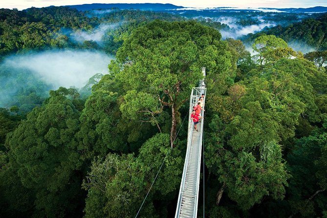 Puerto Rico tours