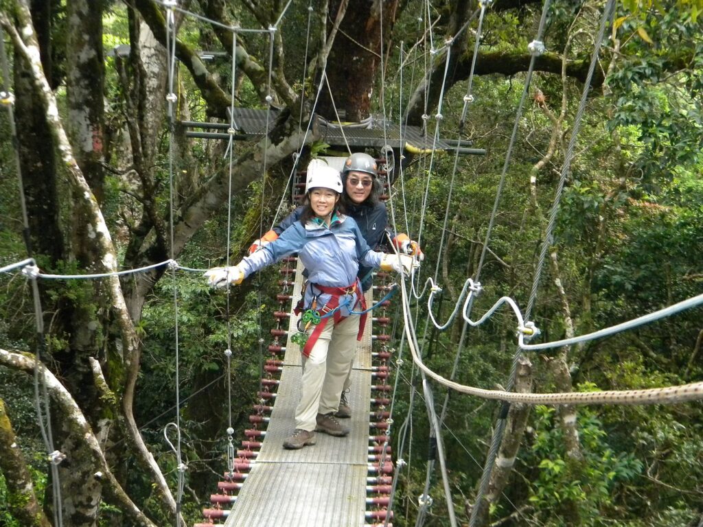 Two people wearing safety harnesses crossing a suspension bridge high in the Costa Rica rainforest canopy.