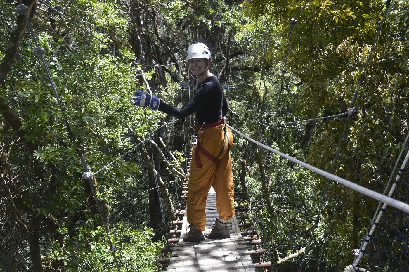 Adventure traveler crossing a suspended canopy bridge through the lush Monteverde cloud forest in Costa Rica.
