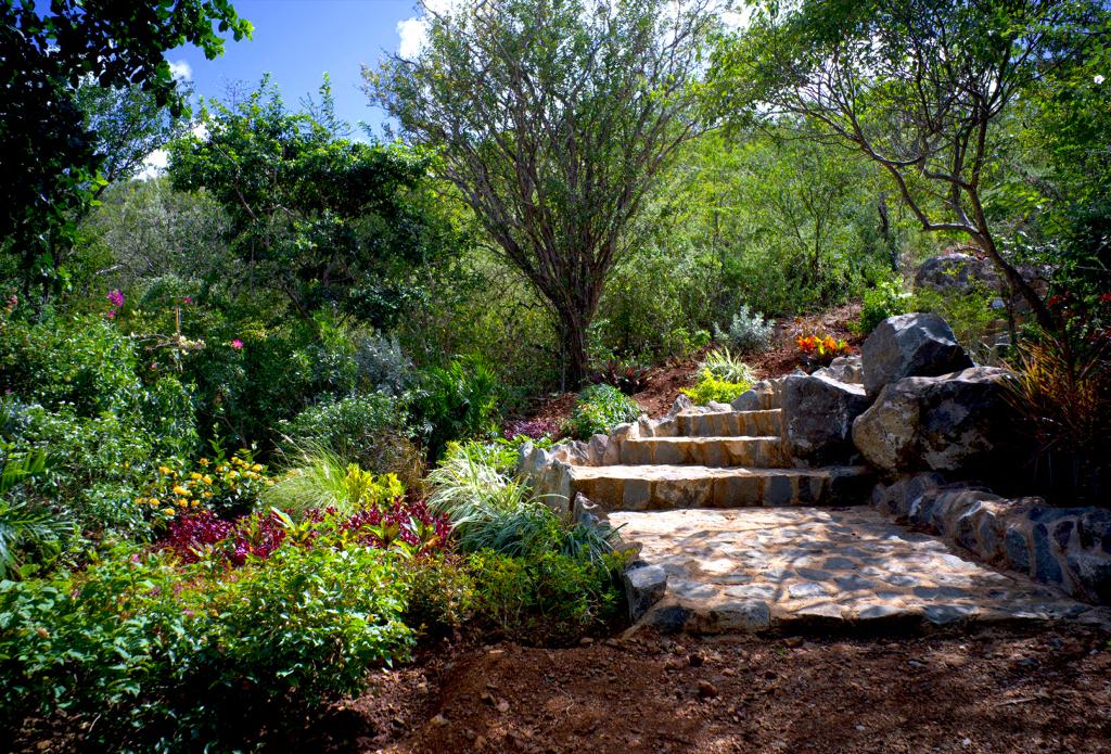 Stone steps winding through lush tropical gardens and mature trees at Hòfi Mango in Curaçao.