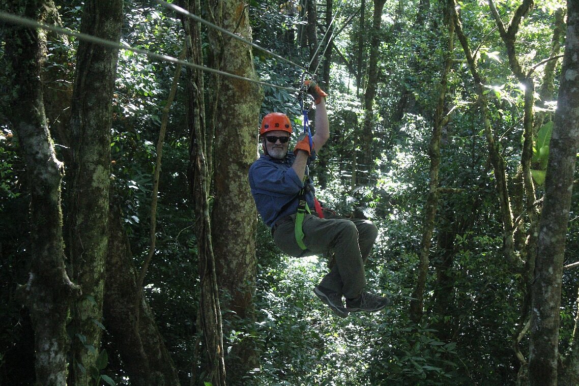 Person ziplining through a dense forest.