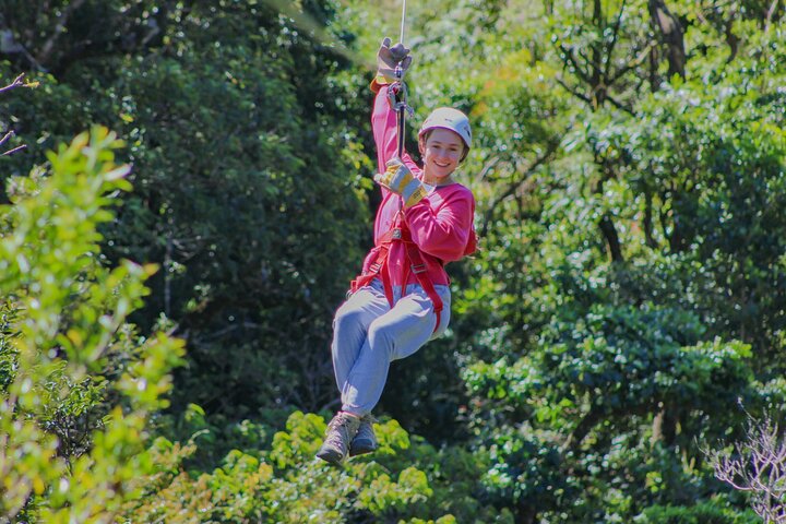 Rider ziplining through a lush Costa Rican forest on The Original Canopy Tour.