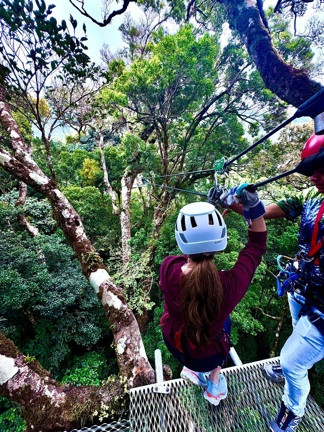 raveler preparing to launch from a zipline platform above the forest canopy