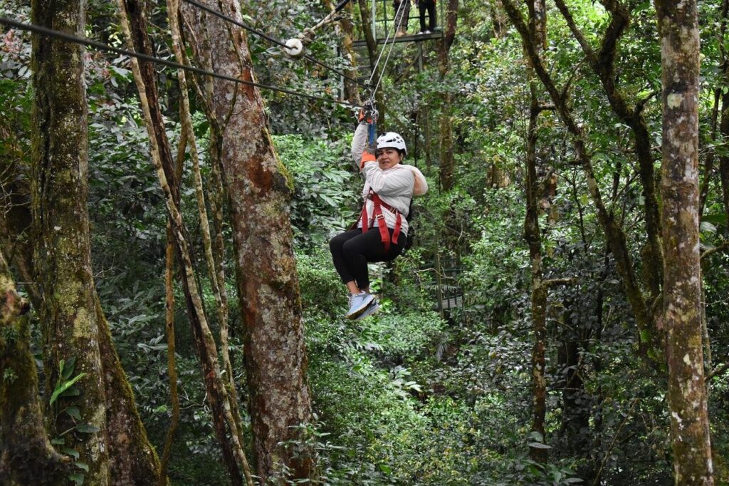Canopy tour adventure among the trees in Monteverde, Costa Rica.