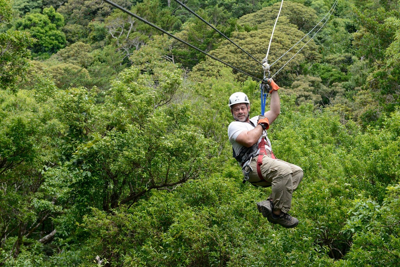 Person wearing a helmet and safety harness ziplining above a dense green rainforest canopy.