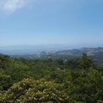 La Fortuna to Monteverde: 5 Ways to Make the Trip Worth It